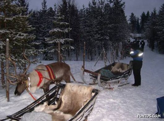 Daily Life in Lapland