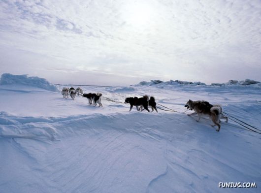 Daily Life in Lapland