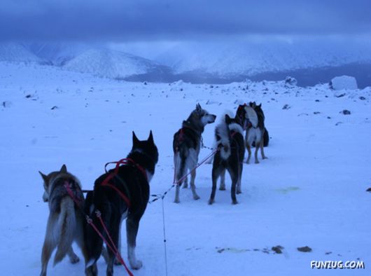Daily Life in Lapland