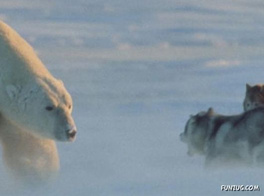 Daily Life in Lapland