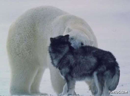 Daily Life in Lapland