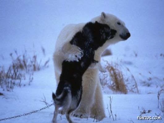 Daily Life in Lapland