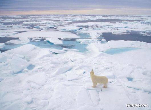 Daily Life in Lapland