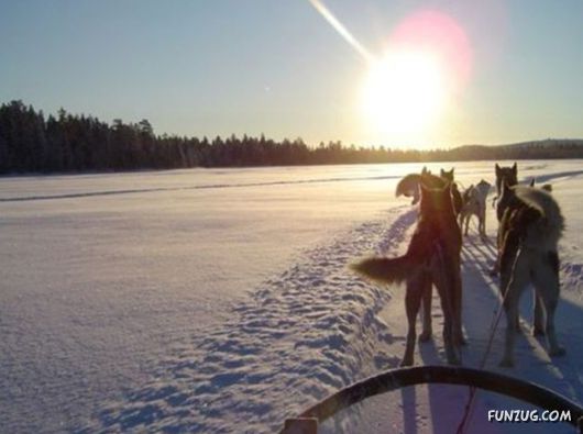 Daily Life in Lapland