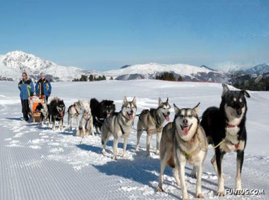 Daily Life in Lapland