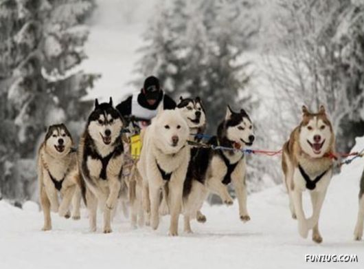 Daily Life in Lapland