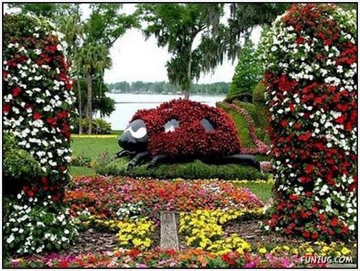 Amazing Decorated Park in Florida