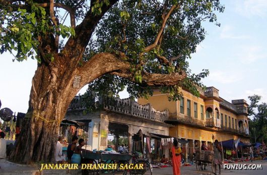 The Incredible Nepal