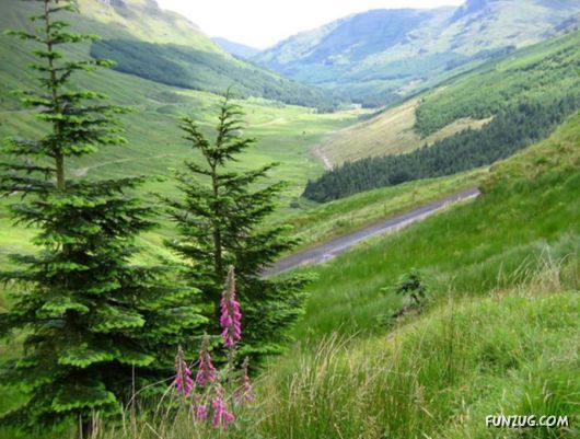 The Incredible Nepal