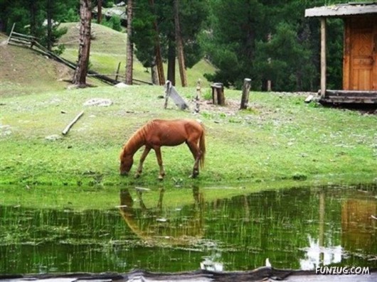 A Trip to Northern Pakistan