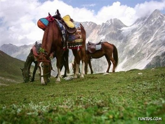 A Trip to Northern Pakistan