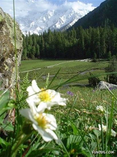 A Trip to Northern Pakistan