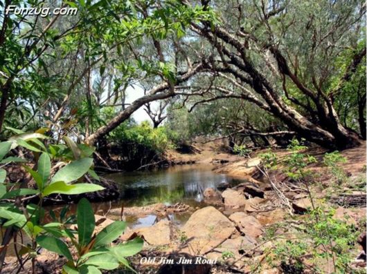 Trip To Kakadu National Park Australia
