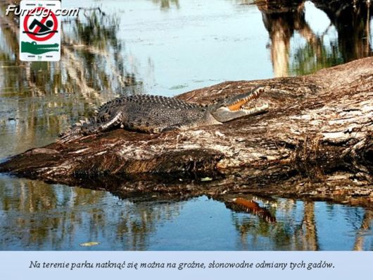 Trip To Kakadu National Park Australia