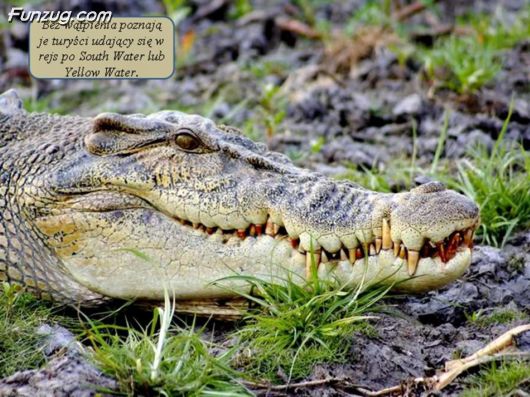 Trip To Kakadu National Park Australia