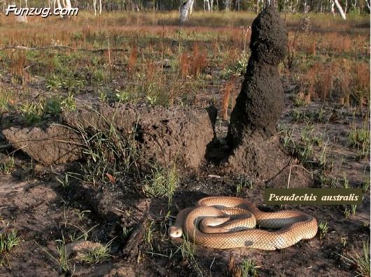 Trip To Kakadu National Park Australia