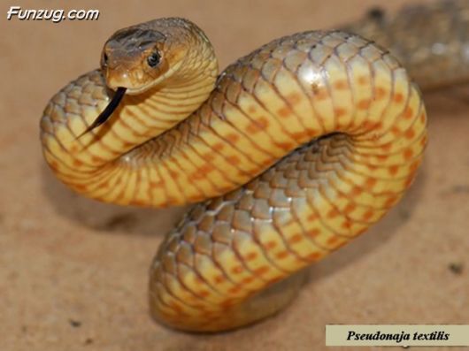 Trip To Kakadu National Park Australia