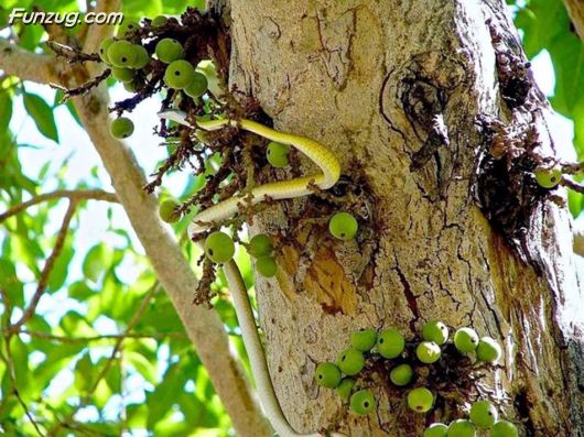 Trip To Kakadu National Park Australia