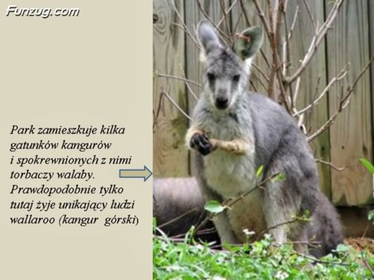 Trip To Kakadu National Park Australia