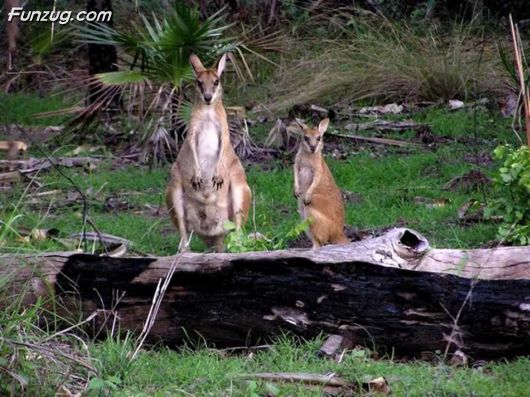 Trip To Kakadu National Park Australia