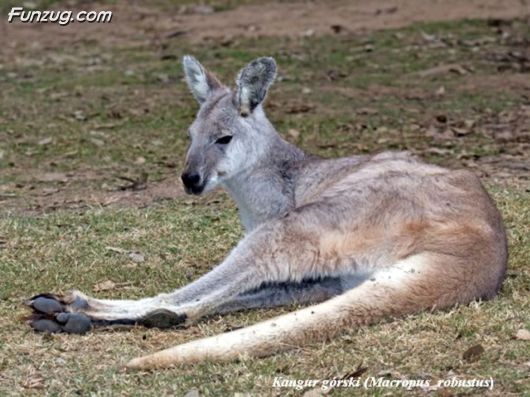 Trip To Kakadu National Park Australia