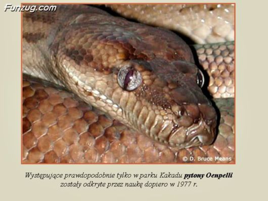 Trip To Kakadu National Park Australia