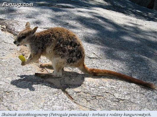 Trip To Kakadu National Park Australia