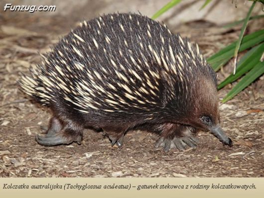 Trip To Kakadu National Park Australia