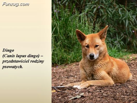 Trip To Kakadu National Park Australia