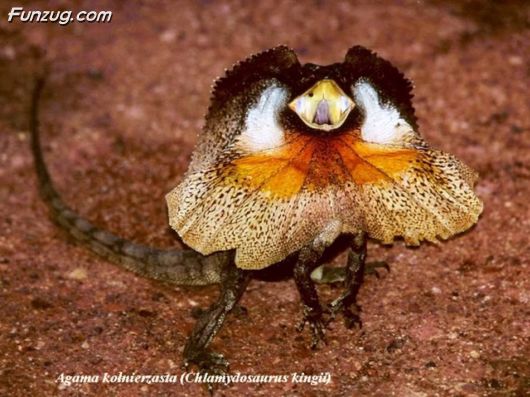 Trip To Kakadu National Park Australia