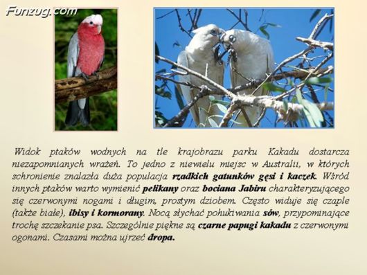 Trip To Kakadu National Park Australia