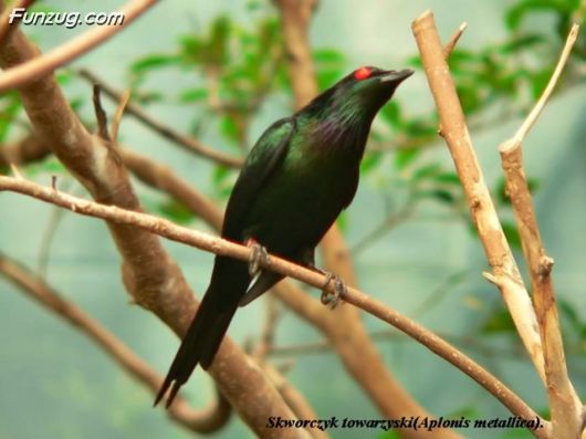 Trip To Kakadu National Park Australia
