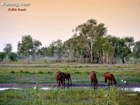 Trip To Kakadu National Park Australia