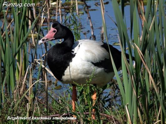 Trip To Kakadu National Park Australia
