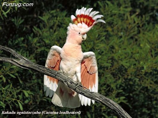 Trip To Kakadu National Park Australia