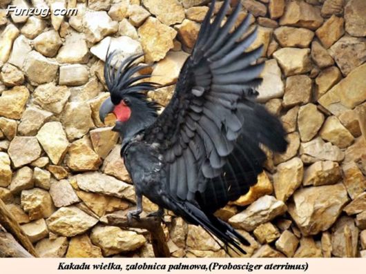 Trip To Kakadu National Park Australia