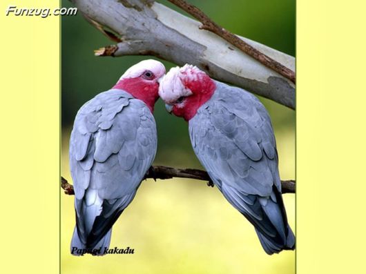 Trip To Kakadu National Park Australia