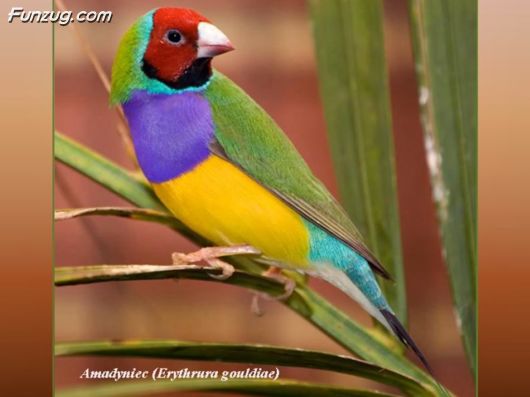 Trip To Kakadu National Park Australia