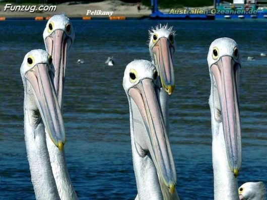 Trip To Kakadu National Park Australia