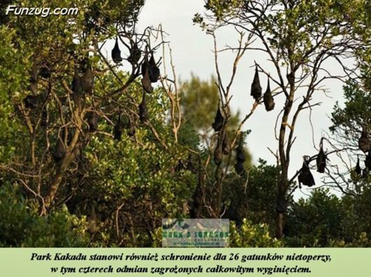 Trip To Kakadu National Park Australia