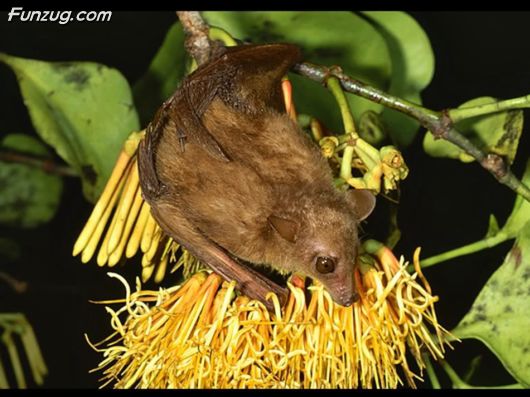Trip To Kakadu National Park Australia