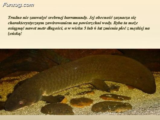 Trip To Kakadu National Park Australia