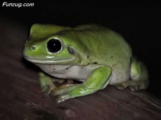 Trip To Kakadu National Park Australia