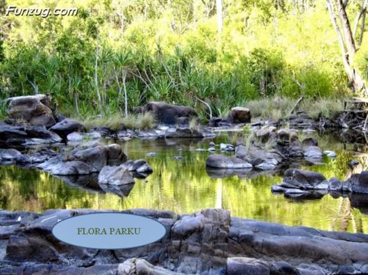 Trip To Kakadu National Park Australia
