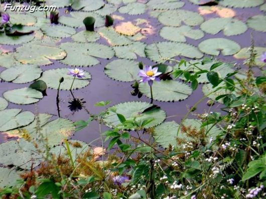 Trip To Kakadu National Park Australia