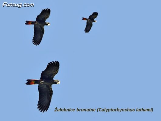 Trip To Kakadu National Park Australia