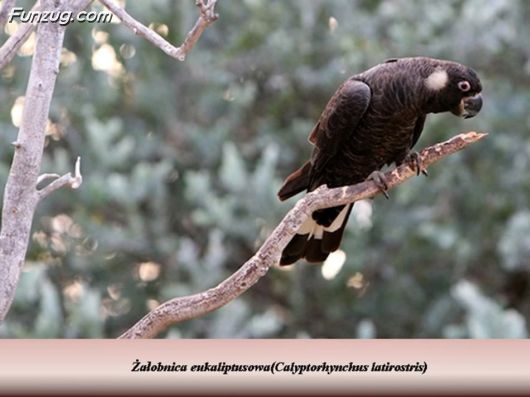 Trip To Kakadu National Park Australia