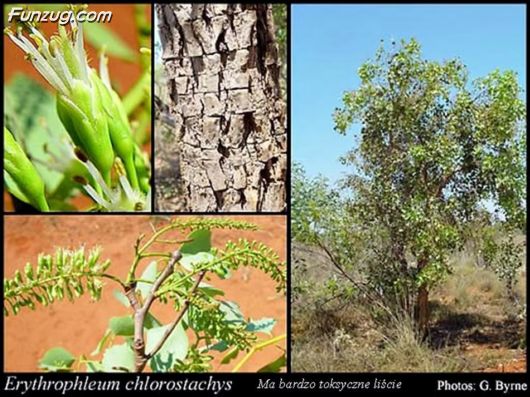 Trip To Kakadu National Park Australia