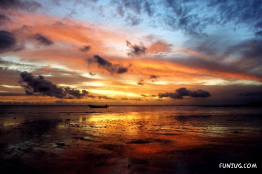 Tropical Island Of Fiji