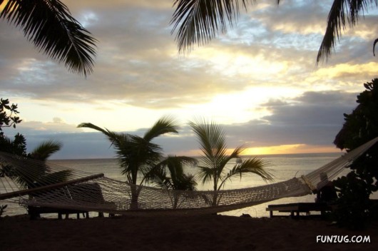 Tropical Island Of Fiji